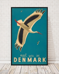 Meet You in Denmark